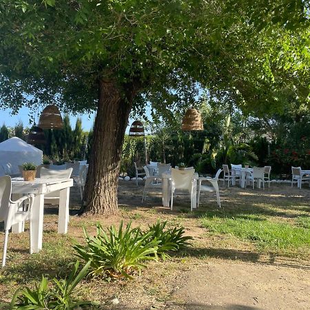 Alma Zahora Hotel Barbate Eksteriør billede